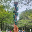 절물휴양림~~제주^^ 이미지