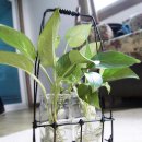 보고세탁소 이미지