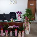 러키 공인중개사 행정사 사무소 네이버블로그