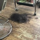 웰빙포샵 | 할 일을 미루면 일상 블로그를 쓸 수 있다니 완전 럭키비키잖아?