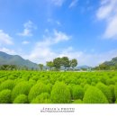 황산공원 이미지