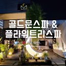 아로파몰 | 세부 막탄 마사지 추천 골드문스파, 플라워트리스파 할인받아 저렴하게 즐기기 꿀팁