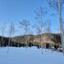 씨유봉평메밀점 | 평창 봉평 메밀 막걸리 파는 곳 가격 평창여행 특산품 2023 대한민국 주류 대상