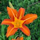 신흥1리 사무소 이미지