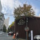 아모르하우스 | 24년 11월 역삼역 아모르 하우스 하객 후기 - 하우스 웨딩의 정석!