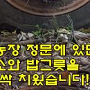 누가농장