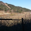 동읍1150 이미지