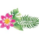 정원식당 네이버블로그