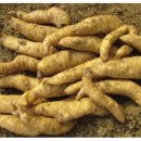 남영제약영농조합 이미지