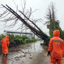 남원읍-21 이미지