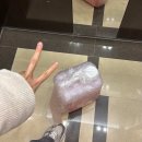 포항 [순지니네해초과메기] 맛집 추천