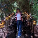 파리바게뜨(신평점) | 당진 카페 추천 고양이 볼수 있는 거산카페