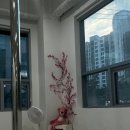 댄스플러스스트레칭 | [대구 폴댄스] 오하운 폴댄스 상인점