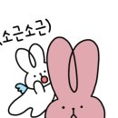 현풍닭칼국수W 이미지
