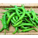 다래농원 이미지