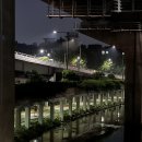 모텔더숲 이미지