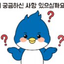 부안 태권도장 이미지