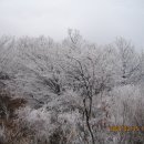 2월15일 겨울이 찿아온 광덕산에서... 이미지