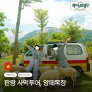 목장 | 나트랑 판랑사막 투어 , 양떼목장 후기