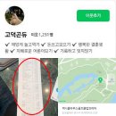 천명전자 | 고덕곤듀 블로그 현재 난리난 이유 잭니클라우스cc 1300만원 삼성전자 법카 영수증