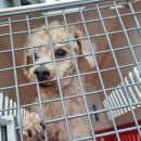 부안수한의원 이미지