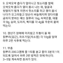 칡의 효능 이미지
