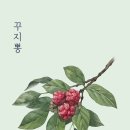 밀양꾸지뽕 영농조합법인 | 면역력을 높이는 꾸지뽕