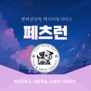 펫택시콜 이미지