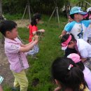 새샘어린이집 이미지