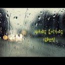 🎵 김현식ㆍ비처럼 음악처럼 이미지