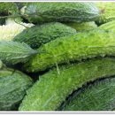 산야초영농조합 이미지