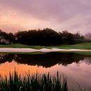 알프스대영CC 이미지