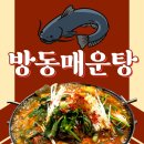 3751 | 대전 방동저수지 맛집, '방동매운탕'