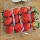 눈을담다 상인진천점 이미지