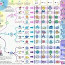 (주)환영통신 | 반다이 &lt;다마고치 파라다이스&gt; 덕질 포스팅 | 내돈내산 덕질후기