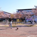 반쟁이공원 이미지