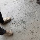 성종카센타 이미지