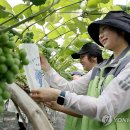 수원도시공사