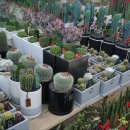 플라워뱅크