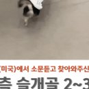 스마트 정형외과 신경외과 동물병원 이미지