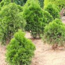 막동농장 이미지