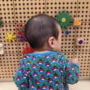 하니와클로버 | 매일 던스입는 아가의 던스스웨덴 모음집 | 순무, 클로버, 마더어스부터 비주류까지