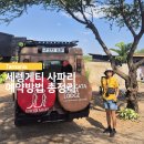 부킹 | 세렝게티 사파리 예약 방법 : 한인업체, 현지업체, 사파리부킹닷컴 후기