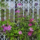 지베르니펜션 이미지