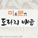 아리엘미문