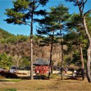 남근농장 이미지