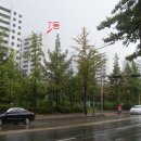 시영아파트7동