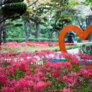 산호애견 이미지