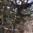 신곡길 이미지