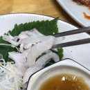자연산횟집 | 제주 서귀포 횟집 남경미락 자연산 돌돔 후기 (ft. 비밀이야 맛집)